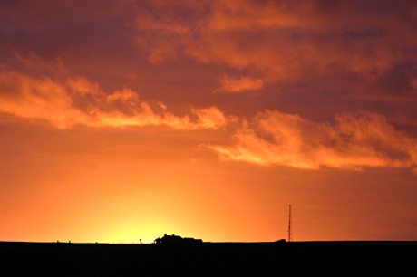 Cat and Fiddle