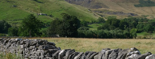 mamtor