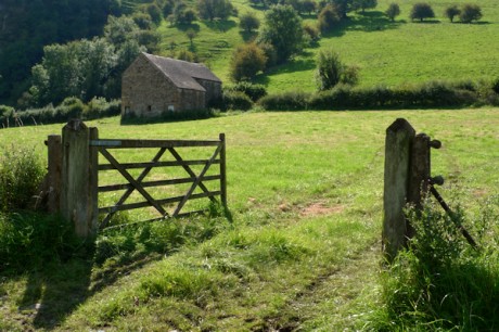 Manifold Valley