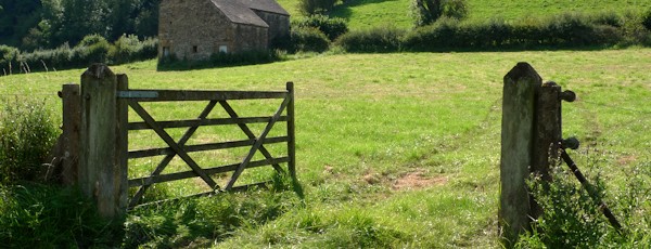 Manifold Valley